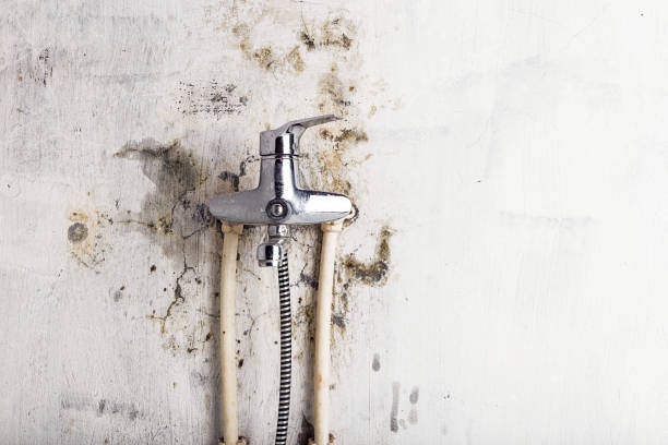 Best Professional Mold Removal  in Price, UT